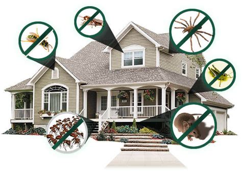 pest control in my area.
